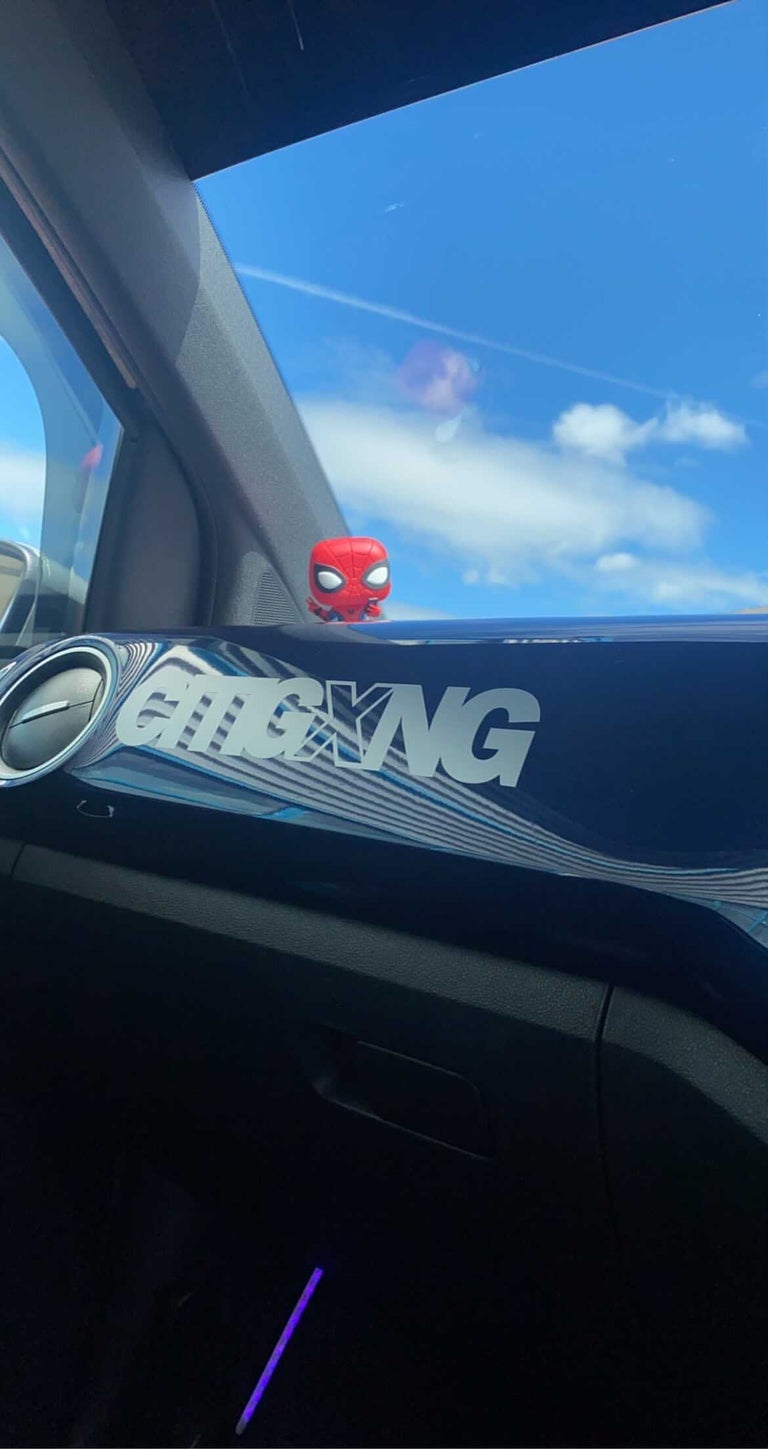 CITIGXNG VINYL CUTOUT